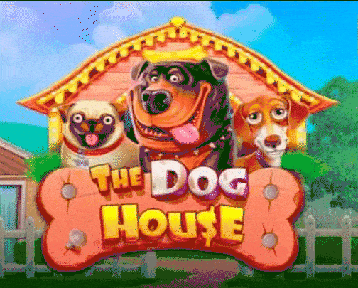 Play the dog house bei Goldzino